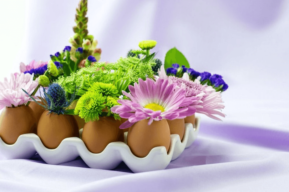 Độc đáo với cách cắm hoa trong vỏ trứng